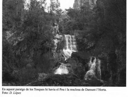 Fotografies antigues - Fotografies antigues 1 image 19