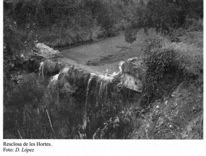 Fotografies antigues - Fotografies antigues 1 image 21